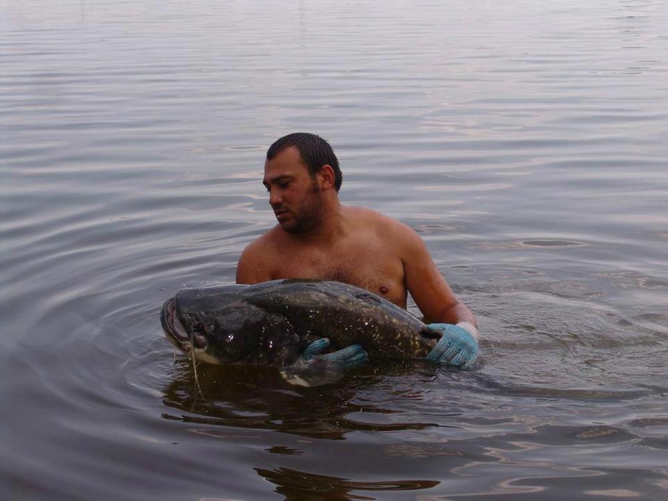 CONCURS LIKE-URI  - VOT PE FACEBOOK  - Motaz Nabil Mohamed Ali
Somn 45 KG
Tancabesti